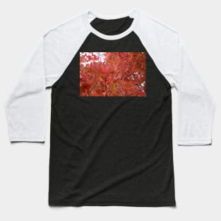 Autumn fall red leaves trees thanksgiving Baseball T-Shirt